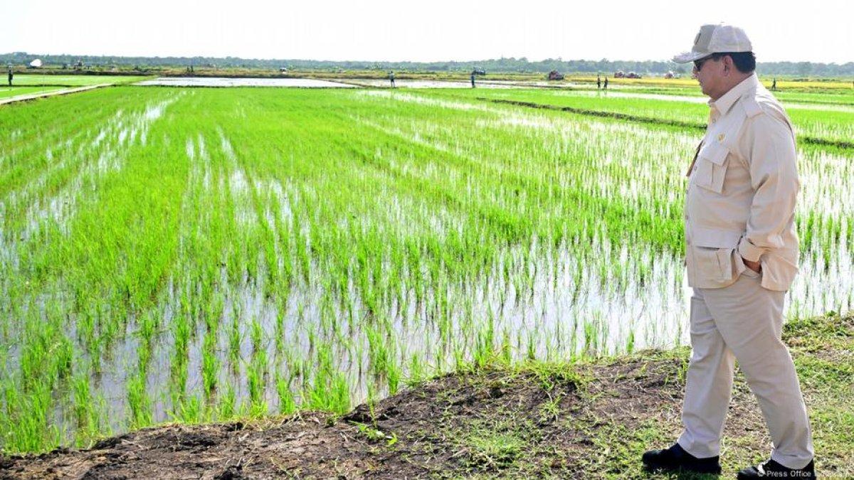 Swasembada Pangan Kunci Ketahanan dan Stabilitas Ekonomi Indonesia