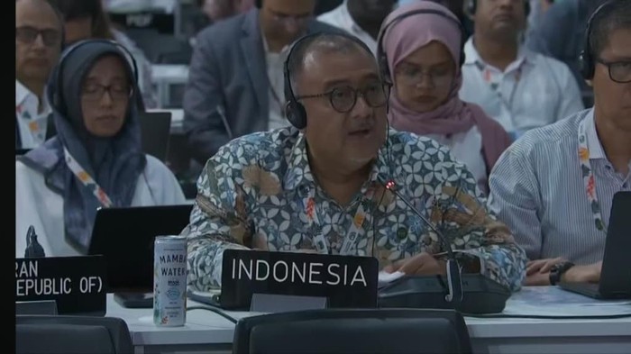 RI Sayangkan Usulan soal Istilah Gender Tak Diadopsi di COP30 Brasil