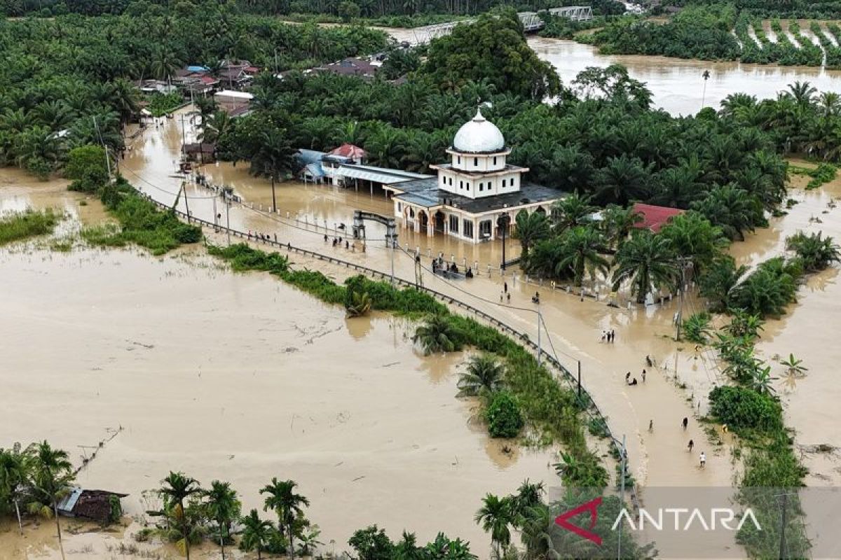 Mengapa Bencana Sumatera Belum Berstatus Nasional? Ini Penjelasannya