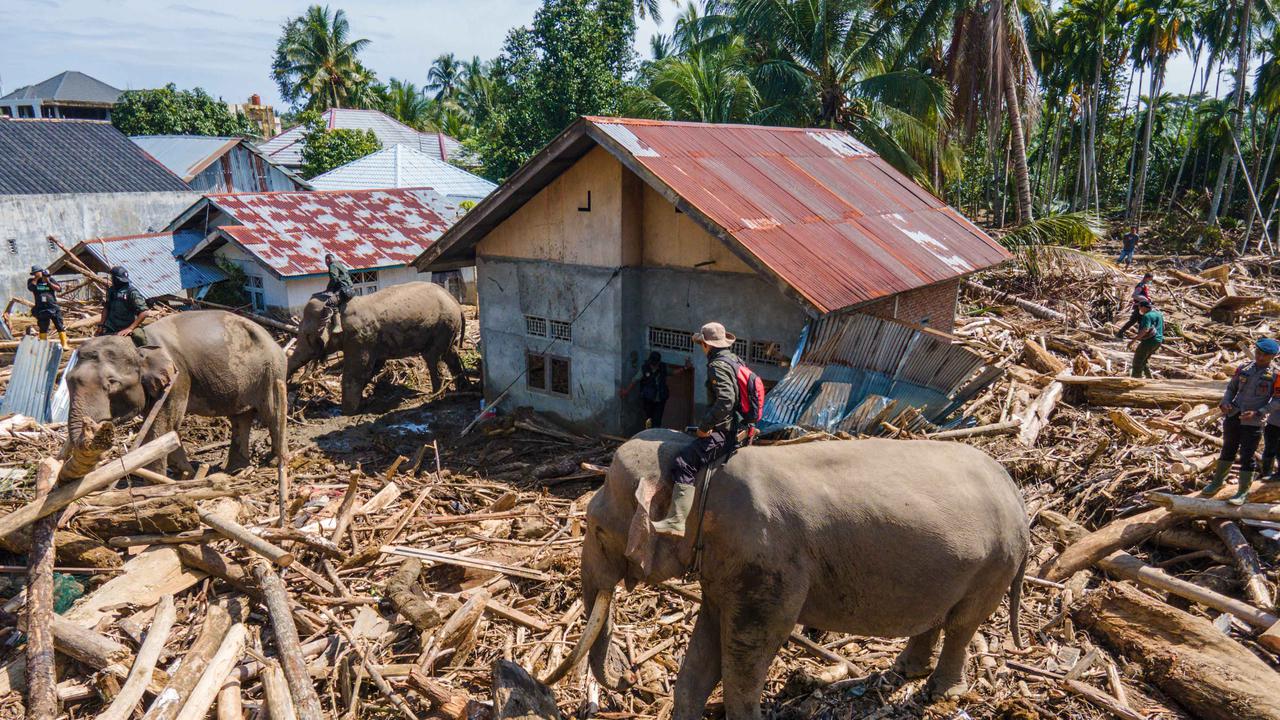Gajah Bantu Bersihkan Puing Banjir Pidie, Bukti Gajah Bukan Musuh Tapi Pelindung Manusia