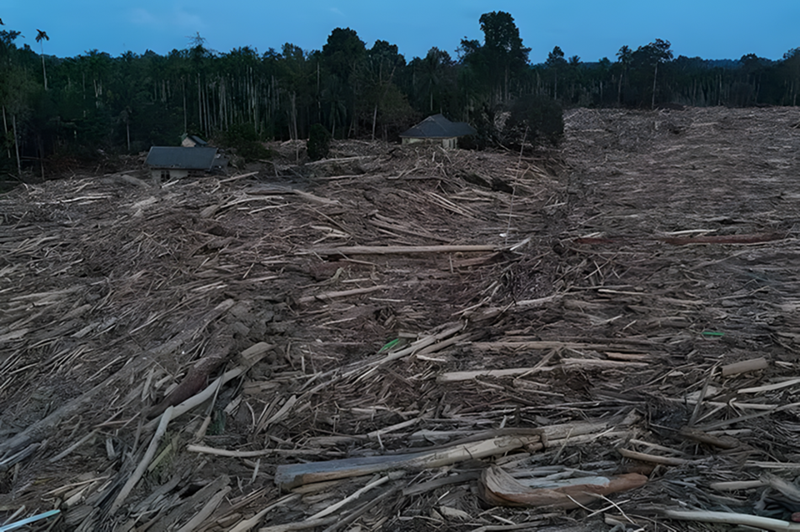 Pemerintah Tindak Tegas Korporasi Pemicu Bencana, Prabowo Akan Tinjau Kembali Lokasi Banjir Aceh