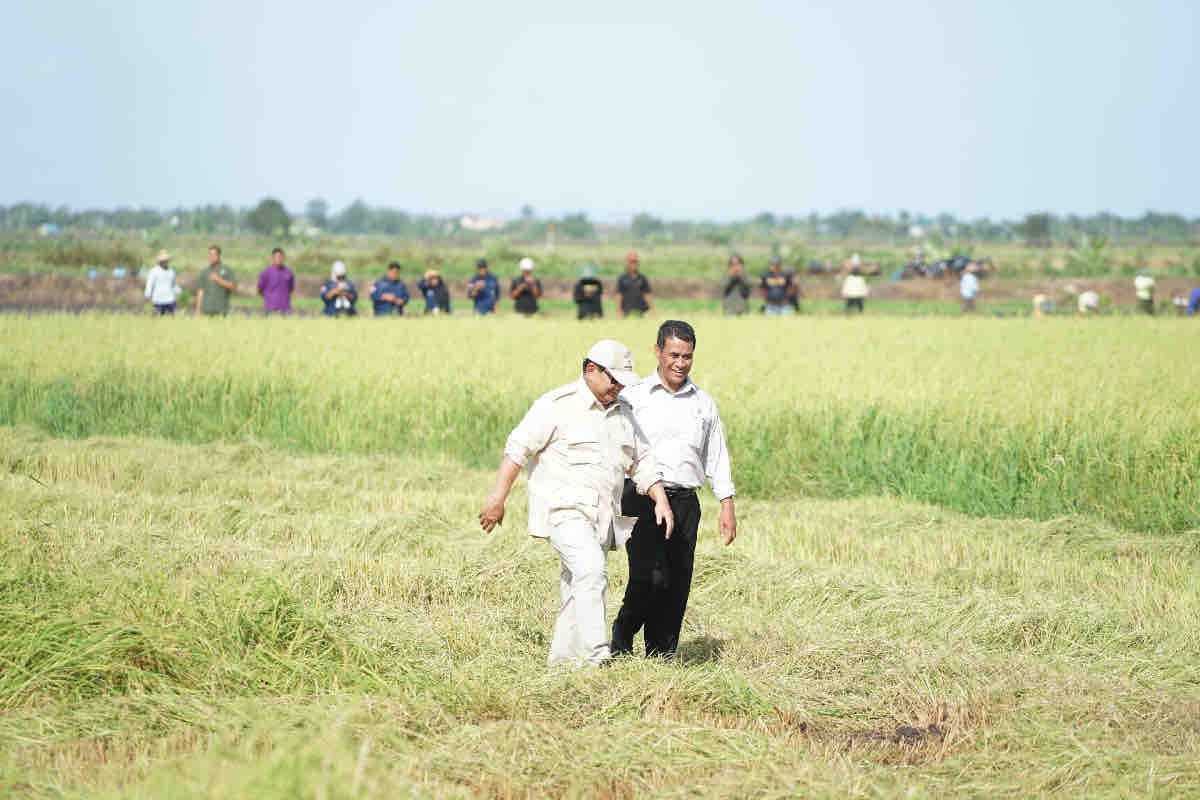 PSN di Papua: Menjembatani Kepentingan Nasional dan Aspirasi Masyarakat Adat
