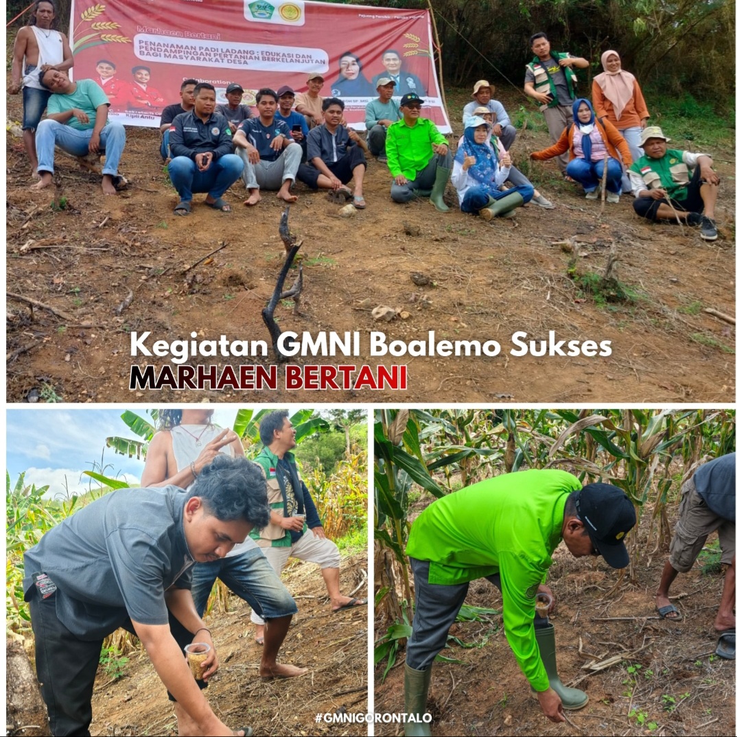 GMNI Boalemo Sukses Gelar Marhaen Bertani, Dorong Edukasi dan Pendampingan Pertanian Berkelanjutan