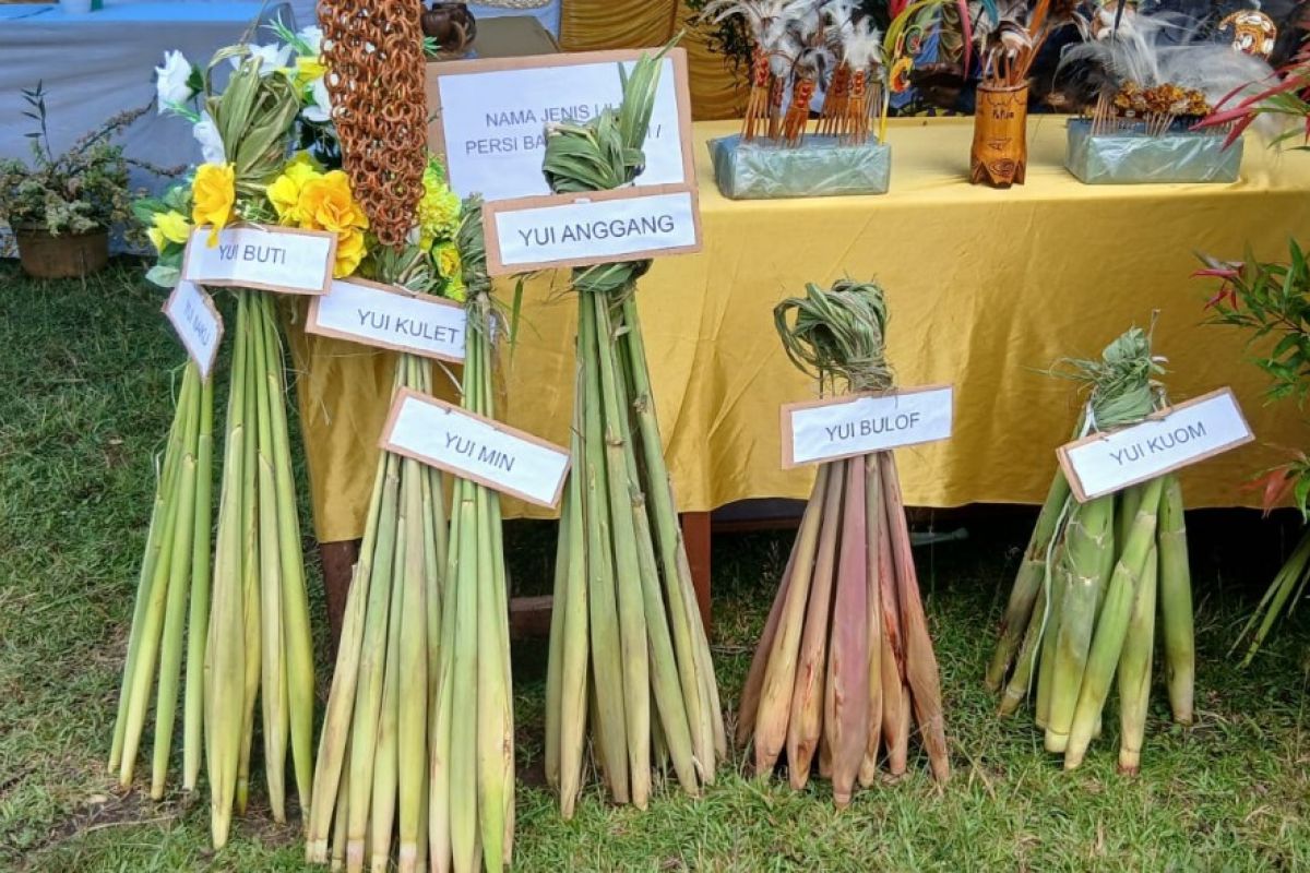Ekosistem Pangan Lokal Jadi Fondasi Keberhasilan Program MBG
