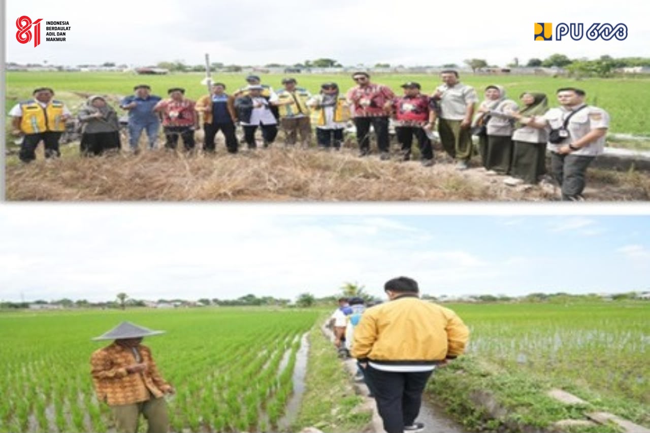 Kementerian PU Tangani 294 Titik Kekeringan, Fokus Jaga Air Irigasi dan Sawah