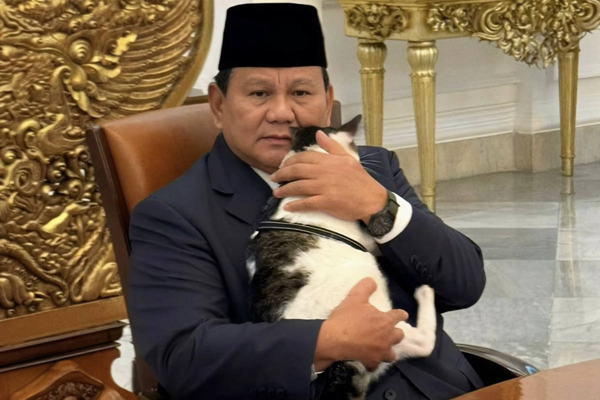 foto berita