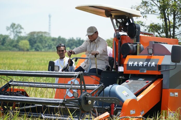 2 Tahun Pemerintahan Prabowo, Stok Beras Naik 7 Kali Lipat Berkat Kebijakan Lorong Sepi