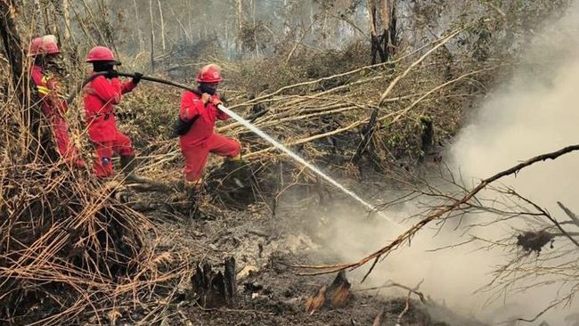 Presiden Prabowo Prioritaskan Keselamatan Masyarakat, Pemerintah Kerahkan 5 Strategi Penanganan Karh